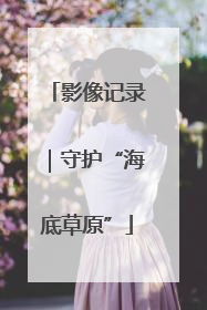 影像记录｜守护“海底草原”