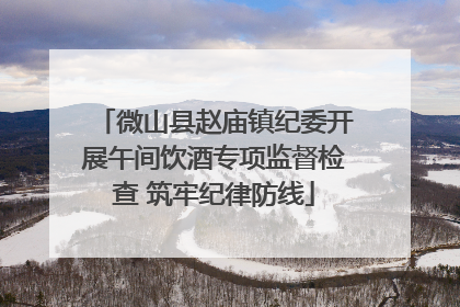 微山县赵庙镇纪委开展午间饮酒专项监督检查 筑牢纪律防线