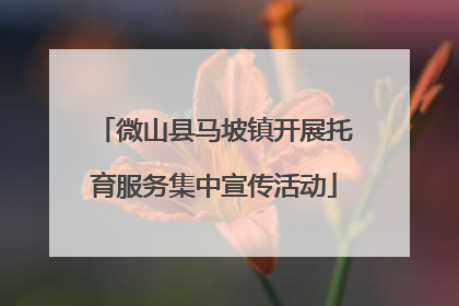 微山县马坡镇开展托育服务集中宣传活动