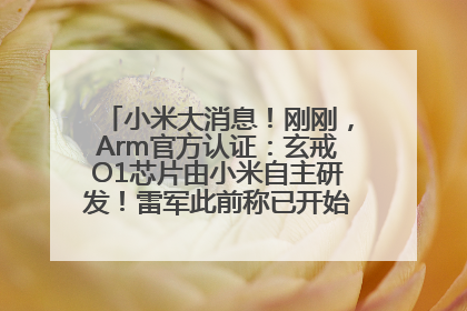 小米大消息！刚刚，Arm官方认证：玄戒O1芯片由小米自主研发！雷军此前称已开始大规模量产