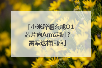 小米辟谣玄戒O1芯片向Arm定制？雷军这样回应