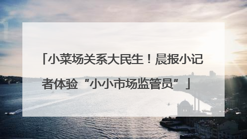 小菜场关系大民生！晨报小记者体验“小小市场监管员”