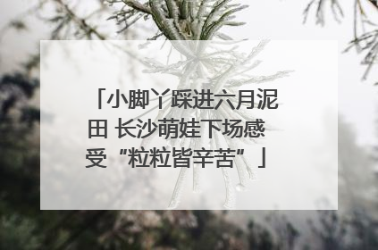 小脚丫踩进六月泥田 长沙萌娃下场感受“粒粒皆辛苦”