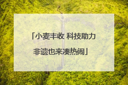 小麦丰收 科技助力 非遗也来凑热闹