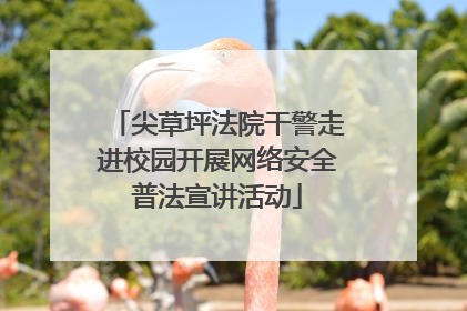 尖草坪法院干警走进校园开展网络安全普法宣讲活动
