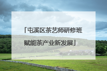 屯溪区茶艺师研修班赋能茶产业新发展
