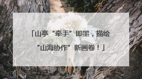 山亭“牵手”即墨，描绘“山海协作”新画卷！