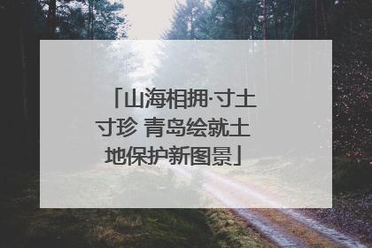 山海相拥·寸土寸珍 青岛绘就土地保护新图景