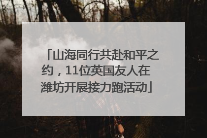 山海同行共赴和平之约，11位英国友人在潍坊开展接力跑活动