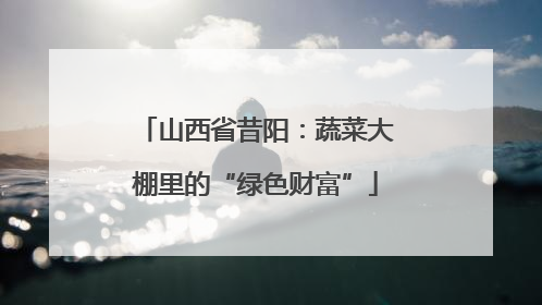 山西省昔阳：蔬菜大棚里的“绿色财富”