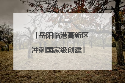岳阳临港高新区冲刺国家级创建