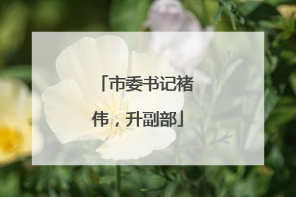 市委书记褚伟，升副部