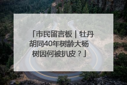 市民留言板｜牡丹胡同40年树龄大杨树因何被扒皮？