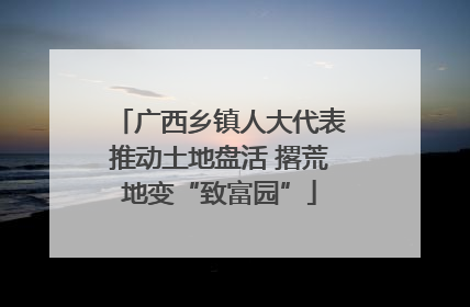 广西乡镇人大代表推动土地盘活 撂荒地变“致富园”