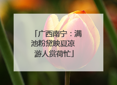 广西南宁：满池粉黛映夏凉 游人赏荷忙