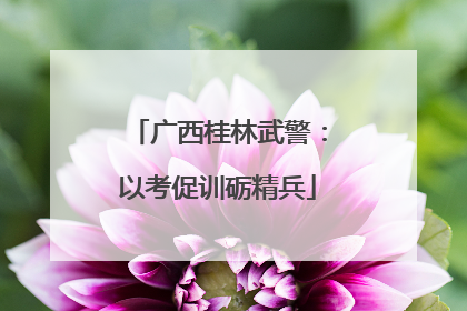 广西桂林武警：以考促训砺精兵