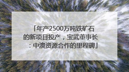 年产2500万吨铁矿石的新项目投产，宝武董事长：中澳资源合作的里程碑