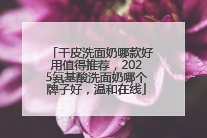 干皮洗面奶哪款好用值得推荐，2025氨基酸洗面奶哪个牌子好，温和在线