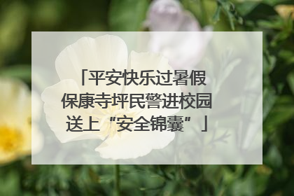 平安快乐过暑假 保康寺坪民警进校园送上“安全锦囊”