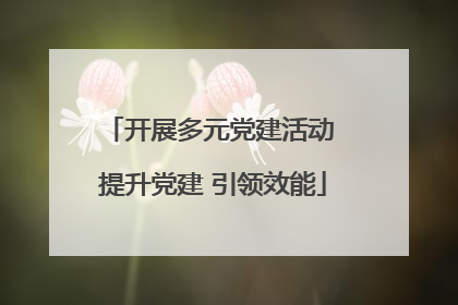 开展多元党建活动 提升党建 引领效能