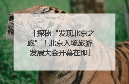 探秘“发现北京之旅”！北京入境旅游发展大会开幕在即