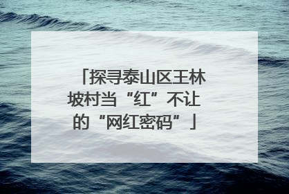 探寻泰山区王林坡村当“红”不让的“网红密码”