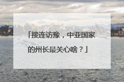 接连访豫，中亚国家的州长最关心啥？