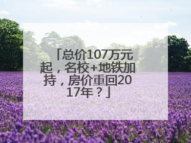 总价107万元起，名校+地铁加持，房价重回2017年？