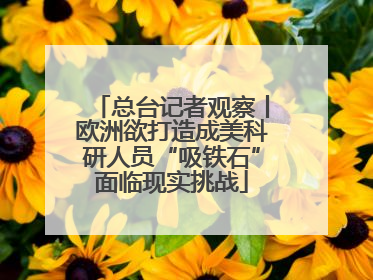 总台记者观察丨欧洲欲打造成美科研人员“吸铁石”面临现实挑战