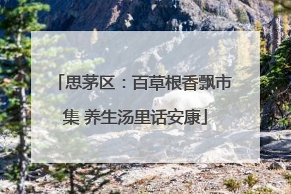 思茅区：百草根香飘市集 养生汤里话安康