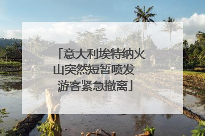 意大利埃特纳火山突然短暂喷发 游客紧急撤离