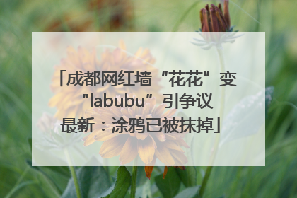 成都网红墙“花花”变“labubu”引争议 最新：涂鸦已被抹掉