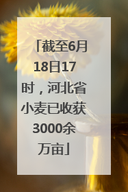 截至6月18日17时，河北省小麦已收获3000余万亩
