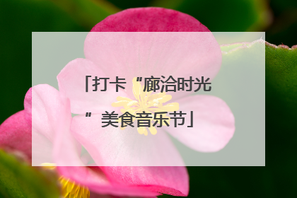 打卡“廊洽时光”美食音乐节