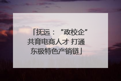 抚远：“政校企”共育电商人才 打通东极特色产销链
