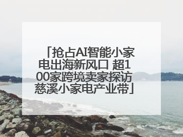 抢占AI智能小家电出海新风口 超100家跨境卖家探访慈溪小家电产业带