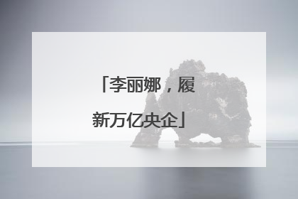 李丽娜，履新万亿央企