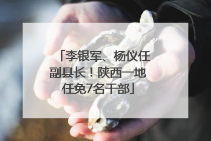 李银军、杨仪任副县长！陕西一地任免7名干部