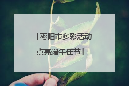 枣阳市多彩活动点亮端午佳节