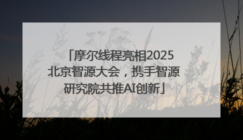 摩尔线程亮相2025北京智源大会，携手智源研究院共推AI创新