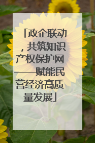 政企联动，共筑知识产权保护网——赋能民营经济高质量发展
