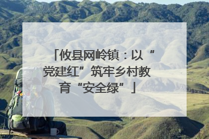 攸县网岭镇：以“党建红”筑牢乡村教育“安全绿”