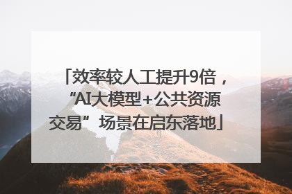 效率较人工提升9倍，“AI大模型+公共资源交易”场景在启东落地