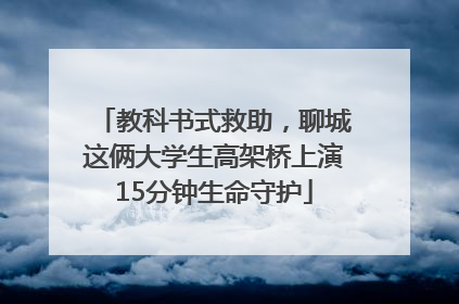 教科书式救助，聊城这俩大学生高架桥上演15分钟生命守护