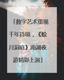 数字艺术重现千年诗境，《赊月洞庭》南湖夜游精彩上演