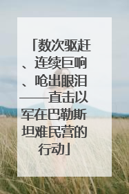 数次驱赶、连续巨响、呛出眼泪——直击以军在巴勒斯坦难民营的行动
