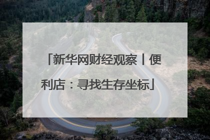 新华网财经观察丨便利店：寻找生存坐标