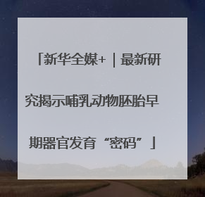 新华全媒+｜最新研究揭示哺乳动物胚胎早期器官发育“密码”