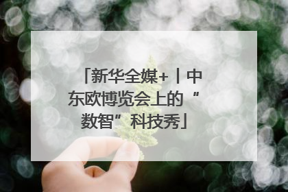 新华全媒+丨中东欧博览会上的“数智”科技秀