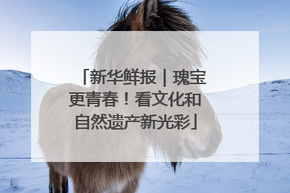 新华鲜报｜瑰宝更青春！看文化和自然遗产新光彩